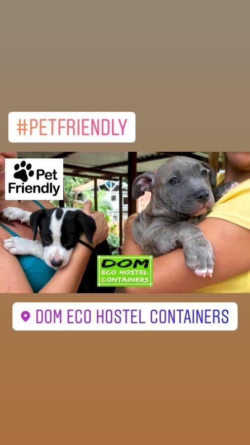 Dom Eco Hostel Containers Sao Sebastiao  Exteriör bild